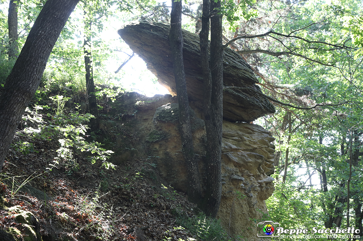 VBS_8908 - I Ciciu del Villar. Villar San Costanzo. Val Maira (Cuneo).jpg